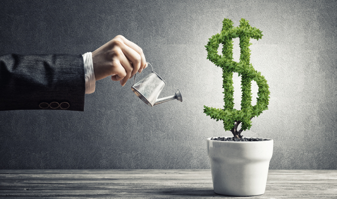 Wealth Creation